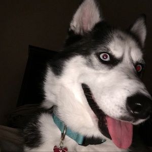 Meet your Posher, Kaylee